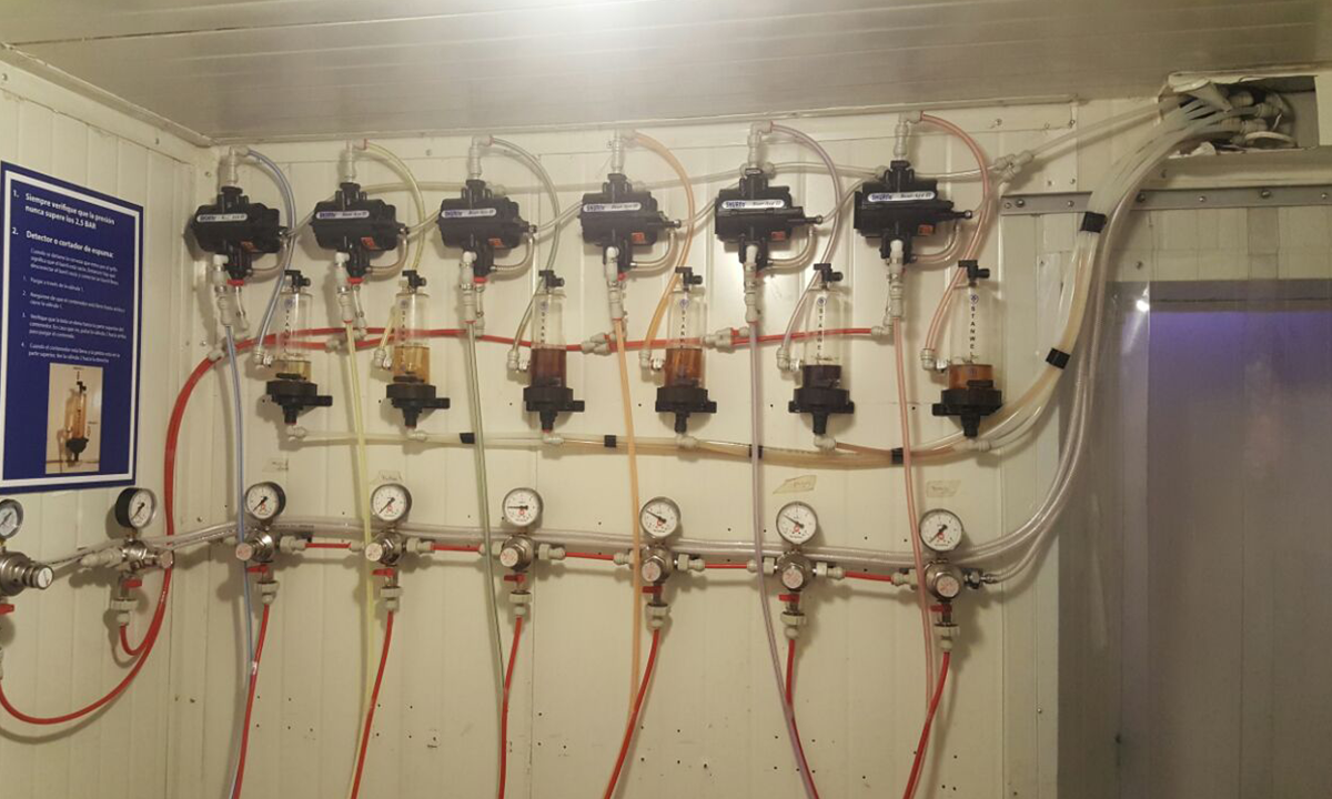 Imagen de la diapositiva