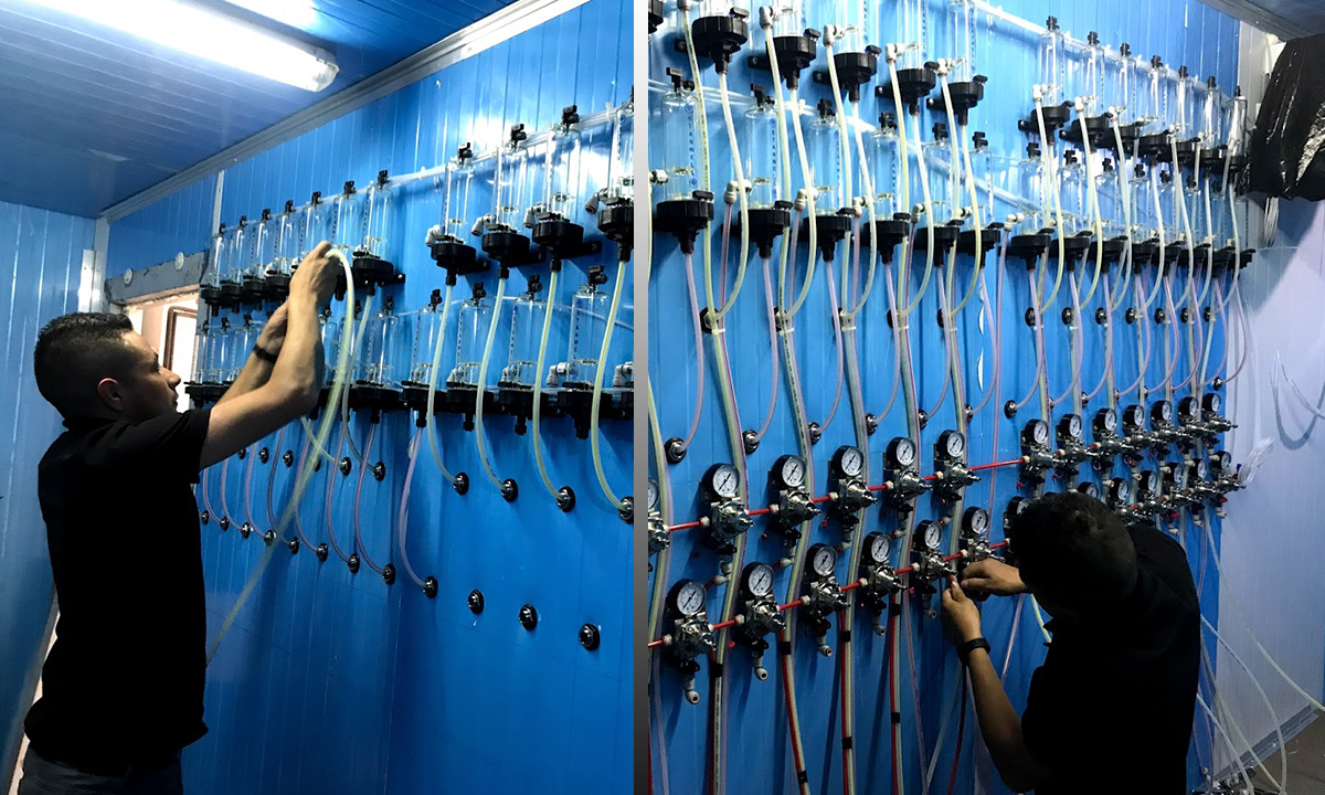 Imagen de la diapositiva