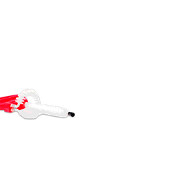 [DL020] Cepillo de Limpieza Pinchador Schanky